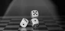 Variabilité interindividuelle dans l’usage de l’expertise sur le risque de récidive en contexte de détermination de la peine en France
